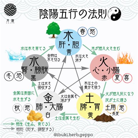 陰陽 五行|陰陽五行説 – 陰陽道・五行説をわかりやすく解説【図。